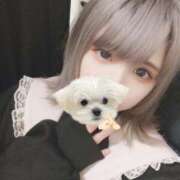 ヒメ日記 2025/04/21 21:55 投稿 みりあ びくびくサークル五反田店