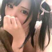 ヒメ日記 2025/09/08 00:34 投稿 みりあ びくびくサークル五反田店