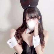 てぃあら 🩷【性欲強めえちえちバニー】🩷 びくびくサークル五反田店