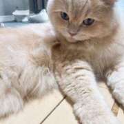 ヒメ日記 2025/07/14 23:55 投稿 牙狼ちゃん Cawaiiハイ！スクールリターンズ