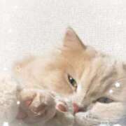 ヒメ日記 2025/09/25 23:59 投稿 牙狼ちゃん Cawaiiハイ！スクールリターンズ