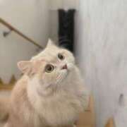 牙狼ちゃん 今日もありがとう☺️ Cawaiiハイ！スクールリターンズ