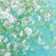 ヒメ日記 2025/06/21 11:20 投稿 もな 待ちナビ