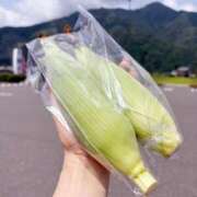 ヒメ日記 2025/07/11 14:30 投稿 尾崎しのぶ 福井性感回春アロマSpa