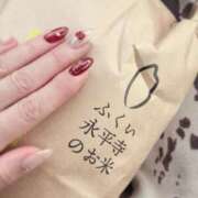 ヒメ日記 2026/03/05 23:27 投稿 尾崎しのぶ 福井性感回春アロマSpa