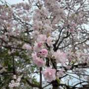 ヒメ日記 2026/04/10 18:33 投稿 尾崎しのぶ 福井性感回春アロマSpa