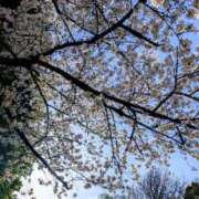 ヒメ日記 2025/04/06 16:57 投稿 吉野【よしの】 丸妻 西船橋店