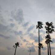 ヒメ日記 2025/04/11 17:32 投稿 吉野【よしの】 丸妻 西船橋店