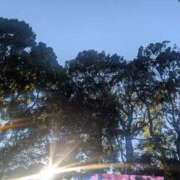 ヒメ日記 2026/01/02 12:40 投稿 吉野【よしの】 丸妻 西船橋店