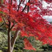 ヒメ日記 2025/12/15 20:41 投稿 りほ クラブレア南大阪