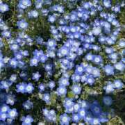 ヒメ日記 2026/01/27 23:10 投稿 りほ クラブレア南大阪