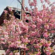 ヒメ日記 2026/04/14 14:50 投稿 りほ クラブレア南大阪