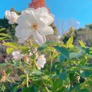 ヒメ日記 2026/04/27 00:20 投稿 りほ クラブレア南大阪