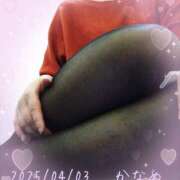 ヒメ日記 2025/04/03 12:58 投稿 かなめ 柏人妻花壇