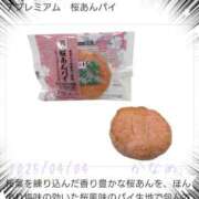 ヒメ日記 2025/04/04 15:45 投稿 かなめ 柏人妻花壇