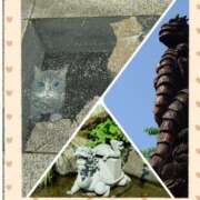 ヒメ日記 2025/05/16 13:15 投稿 かなめ 柏人妻花壇