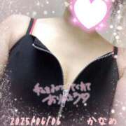 ヒメ日記 2025/06/06 12:45 投稿 かなめ 柏人妻花壇