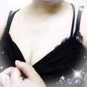 ヒメ日記 2025/07/10 13:03 投稿 かなめ 柏人妻花壇