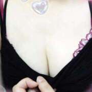 ヒメ日記 2025/07/24 13:15 投稿 かなめ 柏人妻花壇