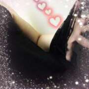 ヒメ日記 2025/07/29 12:59 投稿 かなめ 柏人妻花壇