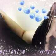 ヒメ日記 2025/07/30 12:45 投稿 かなめ 柏人妻花壇