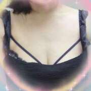 ヒメ日記 2025/09/09 12:00 投稿 かなめ 柏人妻花壇