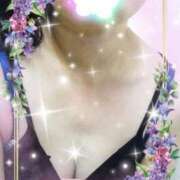 ヒメ日記 2025/09/11 11:51 投稿 かなめ 柏人妻花壇