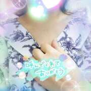 ヒメ日記 2025/09/24 13:45 投稿 かなめ 柏人妻花壇