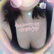 ヒメ日記 2025/10/31 15:45 投稿 かなめ 柏人妻花壇