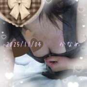 ヒメ日記 2025/11/04 12:31 投稿 かなめ 柏人妻花壇