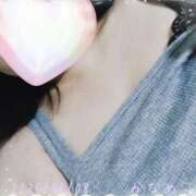 ヒメ日記 2025/11/08 12:31 投稿 かなめ 柏人妻花壇