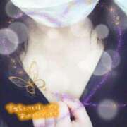 ヒメ日記 2025/12/27 12:45 投稿 かなめ 柏人妻花壇