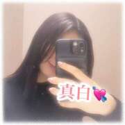 ヒメ日記 2025/04/23 14:38 投稿 真白-mashiro- 品川エッセンス