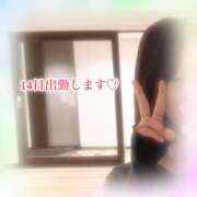 ヒメ日記 2025/08/14 03:54 投稿 真白-mashiro- 品川エッセンス