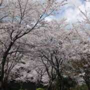 ヒメ日記 2025/04/02 23:00 投稿 あかつき 博多の熟女