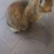 ヒメ日記 2025/04/04 08:53 投稿 あかつき 博多の熟女