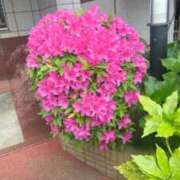 ヒメ日記 2025/04/24 10:43 投稿 あかつき 博多の熟女