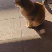 ヒメ日記 2025/05/02 14:13 投稿 あかつき 博多の熟女