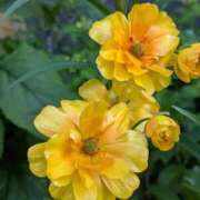 ヒメ日記 2025/05/02 16:53 投稿 あかつき 博多の熟女