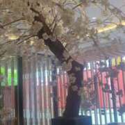 ヒメ日記 2025/05/05 19:53 投稿 あかつき 博多の熟女