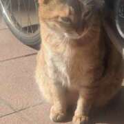 ヒメ日記 2025/05/08 15:04 投稿 あかつき 博多の熟女