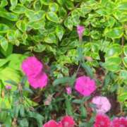 ヒメ日記 2025/05/15 12:23 投稿 あかつき 博多の熟女