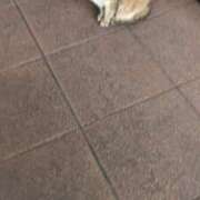 ヒメ日記 2025/05/25 23:43 投稿 あかつき 博多の熟女