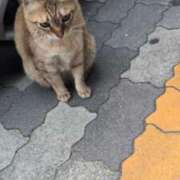 ヒメ日記 2025/05/29 22:03 投稿 あかつき 博多の熟女