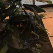 ヒメ日記 2025/06/06 23:03 投稿 あかつき 博多の熟女