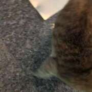 ヒメ日記 2025/06/15 17:23 投稿 あかつき 博多の熟女