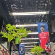 ヒメ日記 2025/06/26 09:23 投稿 あかつき 博多の熟女