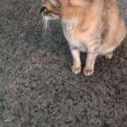 ヒメ日記 2025/07/02 08:13 投稿 あかつき 博多の熟女