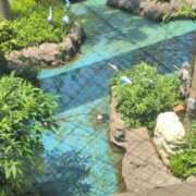 ヒメ日記 2025/07/05 20:23 投稿 あかつき 博多の熟女