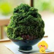 ヒメ日記 2025/07/06 08:03 投稿 あかつき 博多の熟女